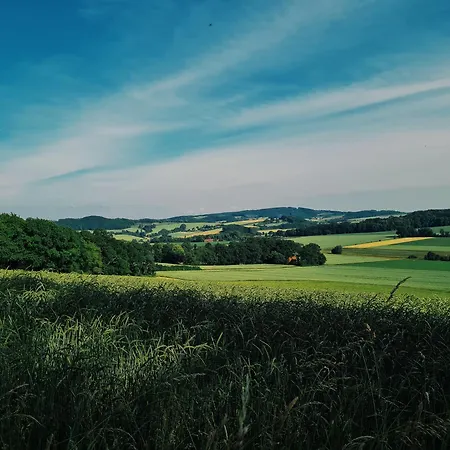 Am Waldrand *