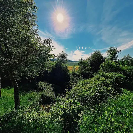 Am Waldrand Apartamento Kalletal
