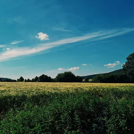 Am Waldrand