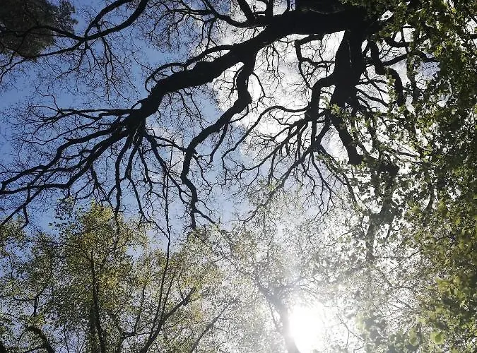 Am Waldrand 아파트 Kalletal