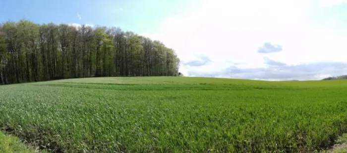 Am Waldrand 아파트 *