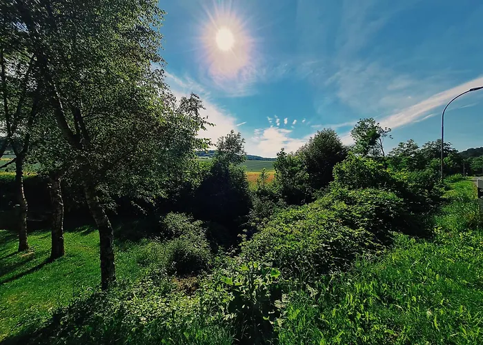 Am Waldrand 아파트 Kalletal